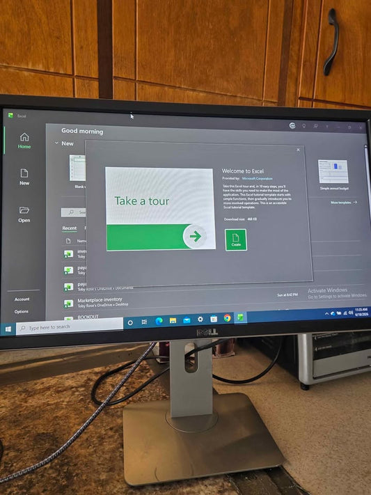 Dell 23inch Professional Monitor