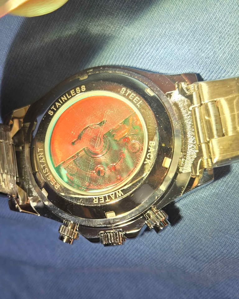 Pagini Design stainless steel clear back watch