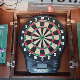 Arachnid Dartboard game