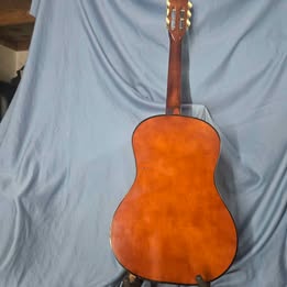 Acoustic beginners guitar