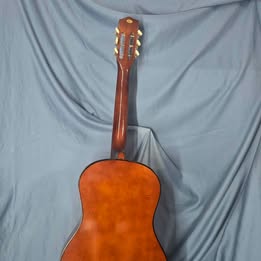 Acoustic beginners guitar