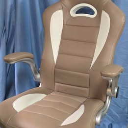 Techni Mobili High Back Executive Sport Race Office Chair